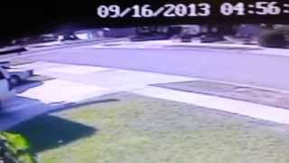 Hell Hound Ghost Shadow seen thru my home security