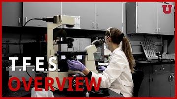 Thermal Sciences, Fluid Mechanics, and Energy Systems Overview