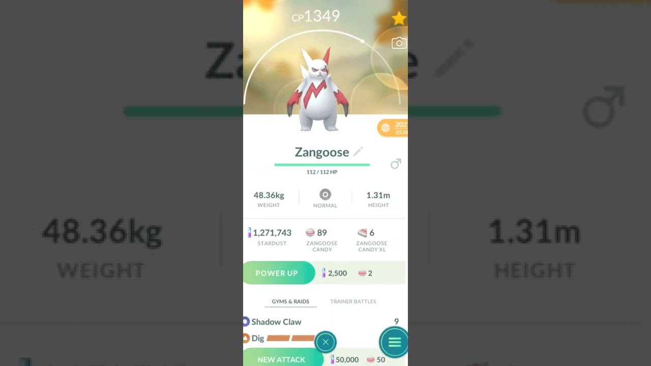 Pokemon Go Shiny Zangoose!