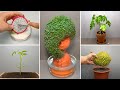 Growing Plants Compilation #3 - 245 Days Time Lapse