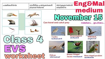 Class 4 EVS worksheet november 15 English and Malayalam medium | std 4 evs worksheet november 15