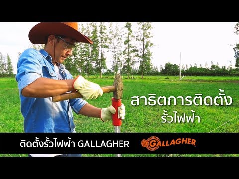 วิธีการติดตั้ง รั้วไฟฟ้า สำหรับฟาร์มเลี้ยงสัตว์ จัดการแปลงหญ้า  (How to Install Electric Fence)