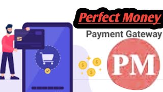 Perfect Money Payment gateway Script Code HTML CSS | 2022 screenshot 1