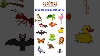 Information Preschool Worksheet | Educational video | Kids Learning Video | worksheet for kids #educationalvideo Update