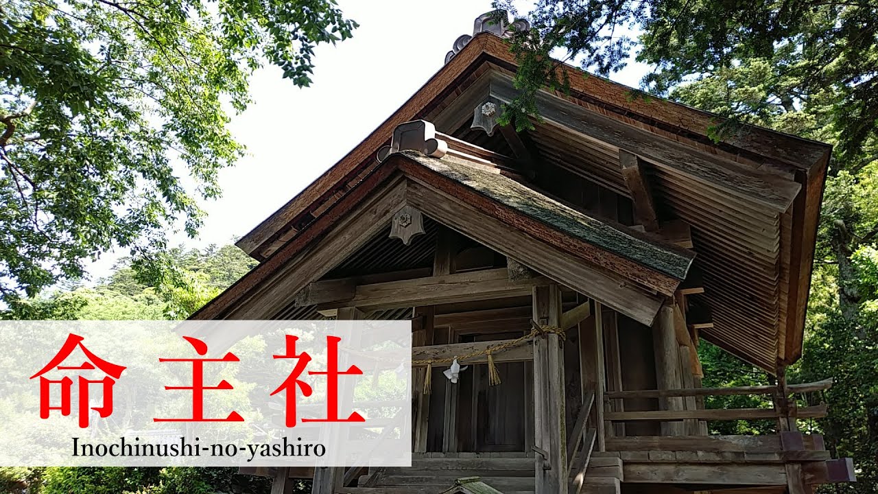 命主社は出雲大社の隠れたパワースポットですね　Inochinushi-no-yashiro