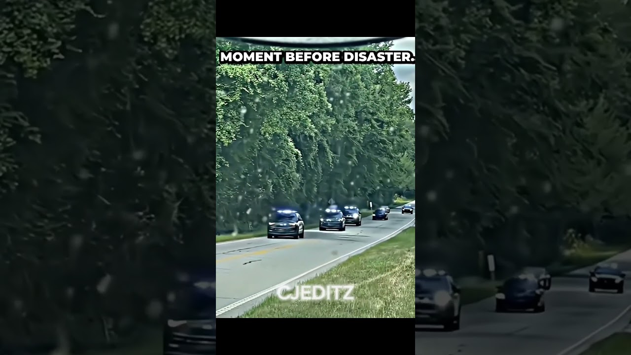 TROLLFACE - What did bro do? 