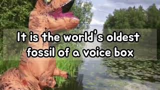17 Scientists believe dinosaurs sounded like birds   (9th March 2023)