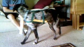 Francie's Pictures 445.AVI