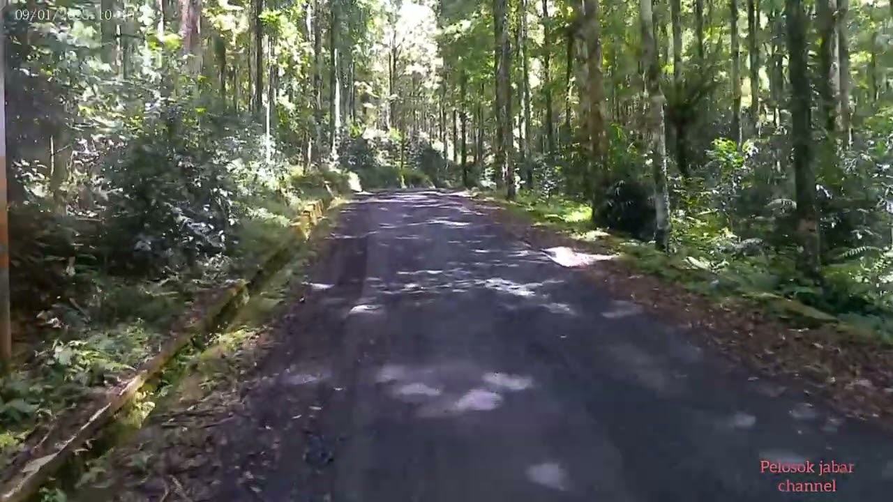 Hutan lindung perbatasan Cianjur -bandung. ( Balegede  )