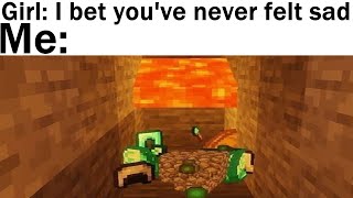 Minecraft Memes 46