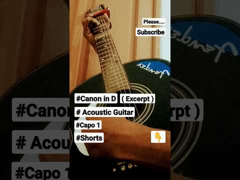 Canon in D  (Excerpt )  Acoustic  Guitar  Capo 1  Shorts #badut #bebek #angin #barongsai #bigo