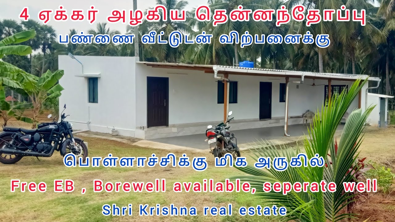 50)low budget coconut farm for sale. pollachi near YouTube