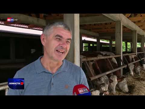 Farma Đokić iz Dvorova kod Bijeljine jedina posjeduje skupocjenog robota za mužu (BN TV 2022) HD