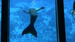Lexi Mermaid Camp Performance 2016