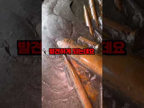 바위틈에서 발견한 <strong>쥬라기</strong> 흔적