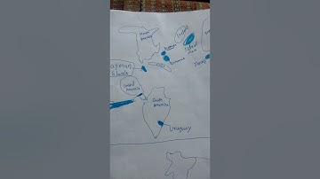 B.A. program - offshore banking