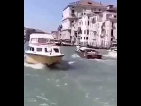 هيلا يا واسع هيلا هيلا هيلا مركبك راجع