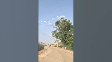 سمع اغاني قديمة طريق نواحي عين اللوح 