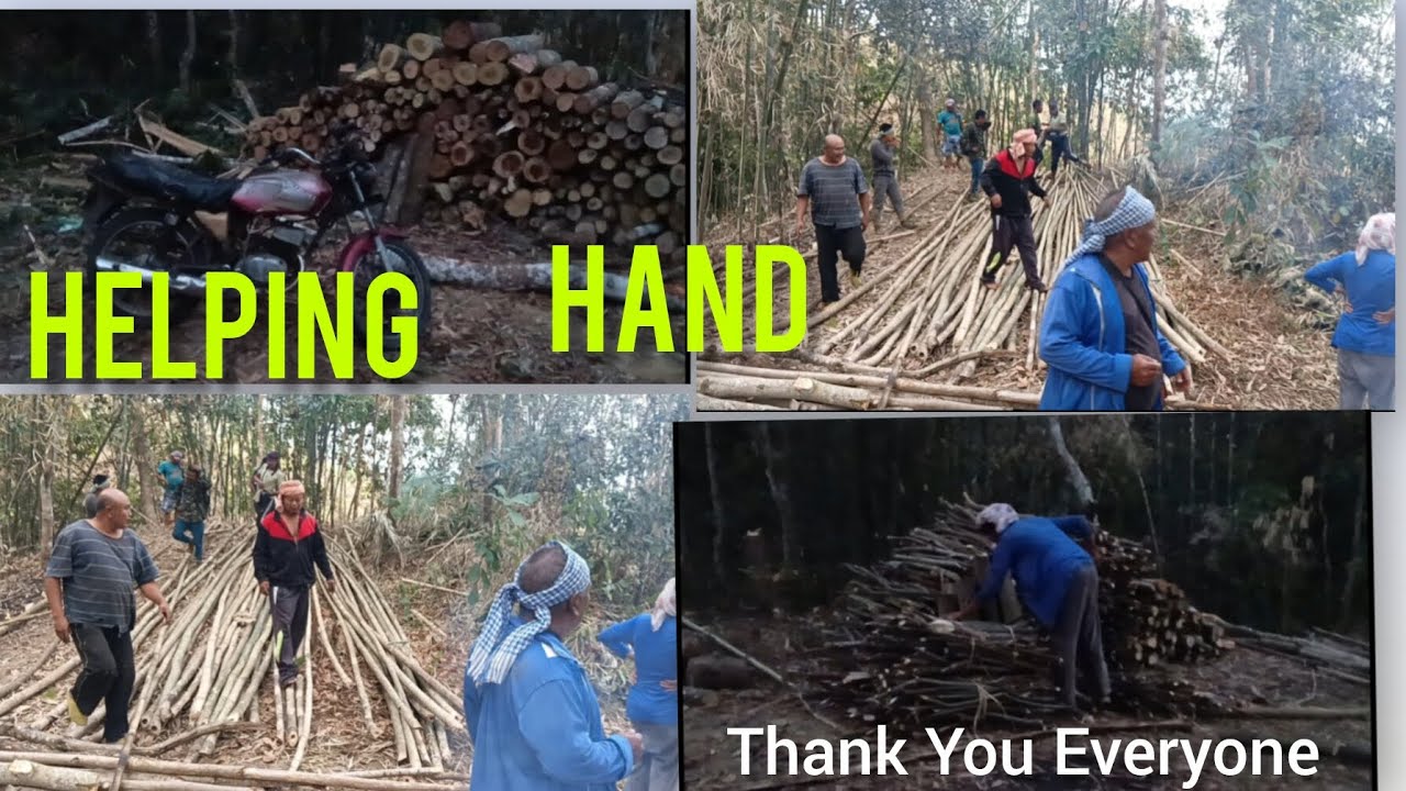 Chopping Firewood for my mum.