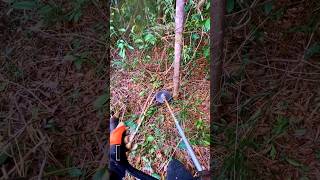 Versatile Brush Cutter &amp; Small Tree Clearing Tool
