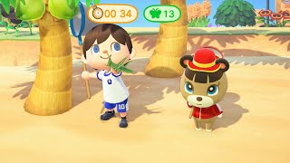 New Personal Best Bug-Off Score (Animal Crossing: New Horizons)