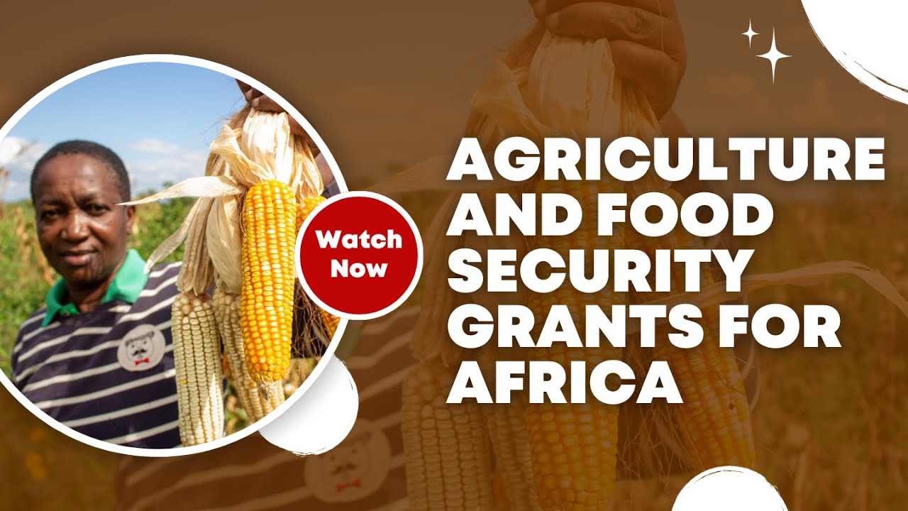 New Grants for Food Security & Agriculture in Africa - YouTube