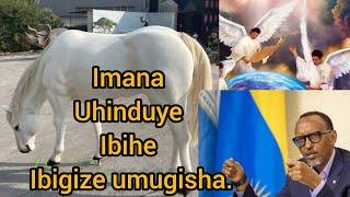 Imana ihagaritse irwara zibyorezo mugihugu cyu Rwanda mubenye .