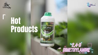 2,4-D Amine Post-Emergent Herbicide，2,4 D Amine Salt Broadleaf Weed Control，2,4 D Production scene