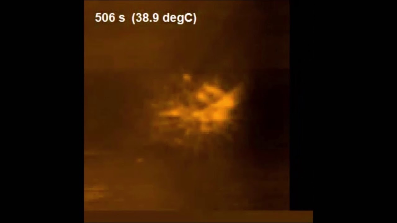 Monitoring Thermoresponsive Morphological Changes in Individual Hydrogel Microspheres