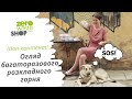 Огляд багаторазового розкладного горня | Шоп-контент! | ZeroWasteLviv.Shop