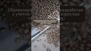 Сухой корм для собак, собственное производство.