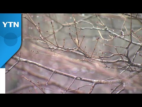 [날씨] 주말, 한파 주춤...전국 흐리고 중부 오후부터 비·눈 / YTN