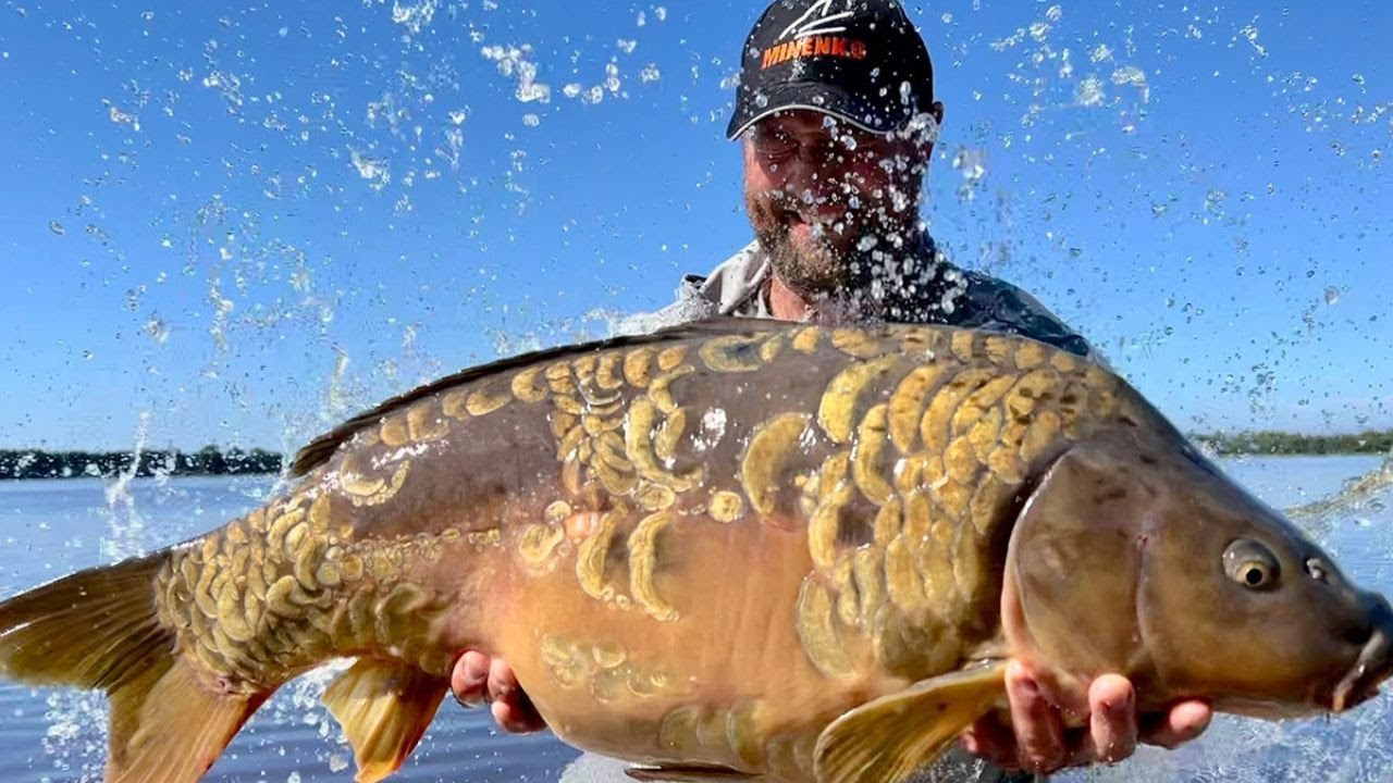 PECHE A LA CARPE DE NUIT SUR LE LAC D AIGUEBELETTE
