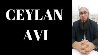CEYLAN AVI ?