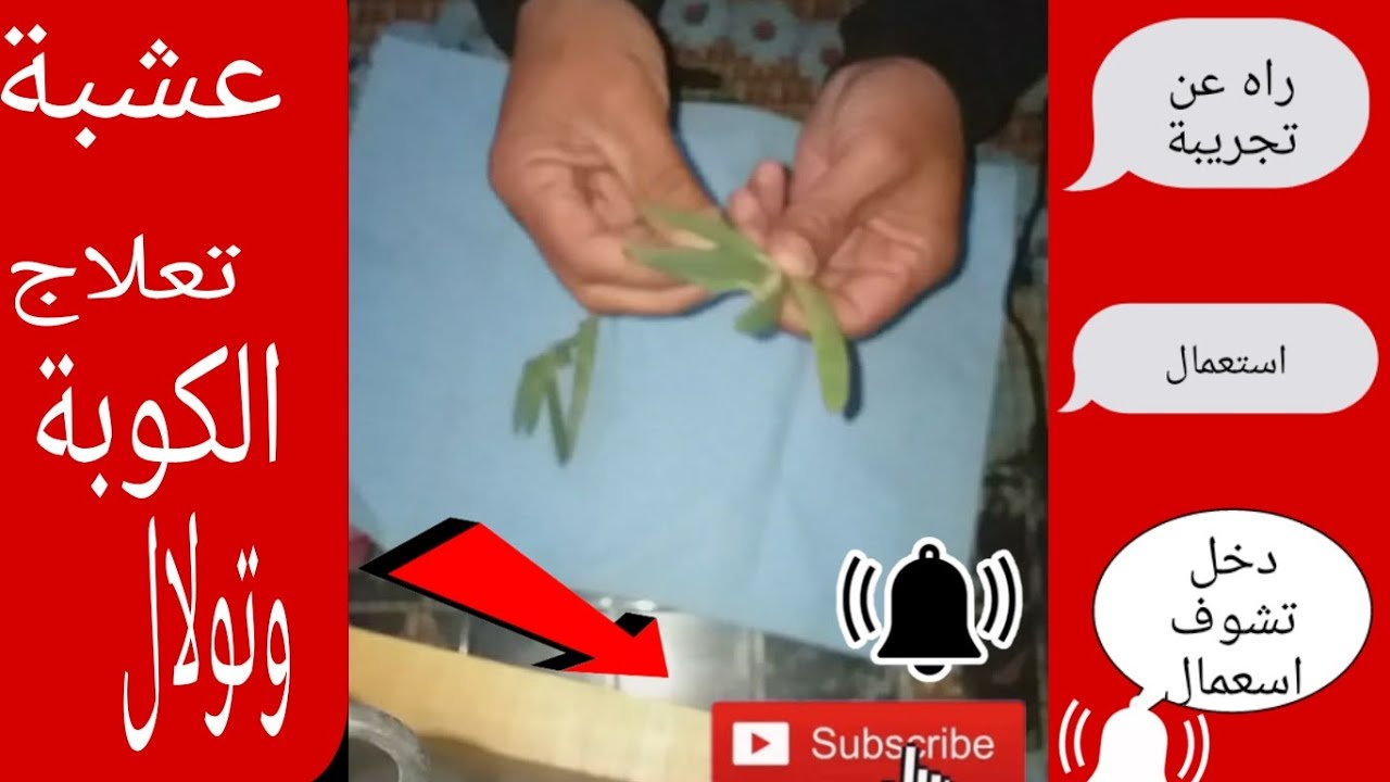 #عشبة #الفركوي#تعلاج#الكوبة# وتولال#راه# عن#تجريبة#توجد#بكثرا#اكسبلور #