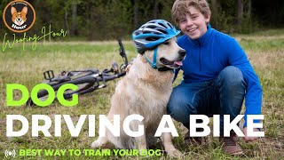 Watch This Amazing Dog Ride A Bike.... In Slow Motion