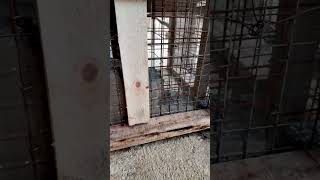 Rural Self Built House Rebar 🏠