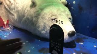 Sleeping Family Bear at Ginza WAKO 銀座和光クリスマスウインドウ