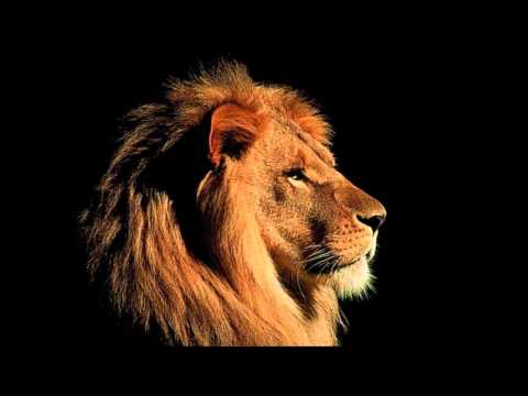 tribo de jah não basta ser rasta