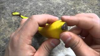 How To Peel A Banana PROPERLY-Tutorial