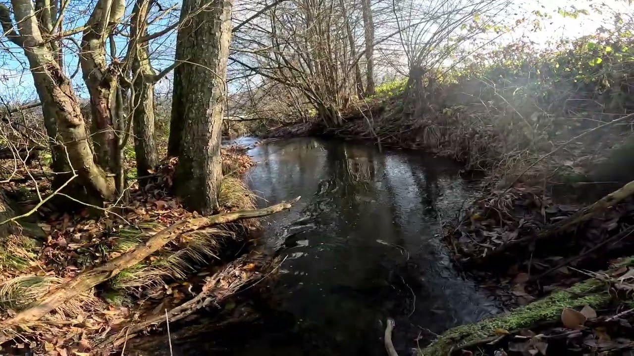 Bach Erkundung Teil 13, der Fornsbach.