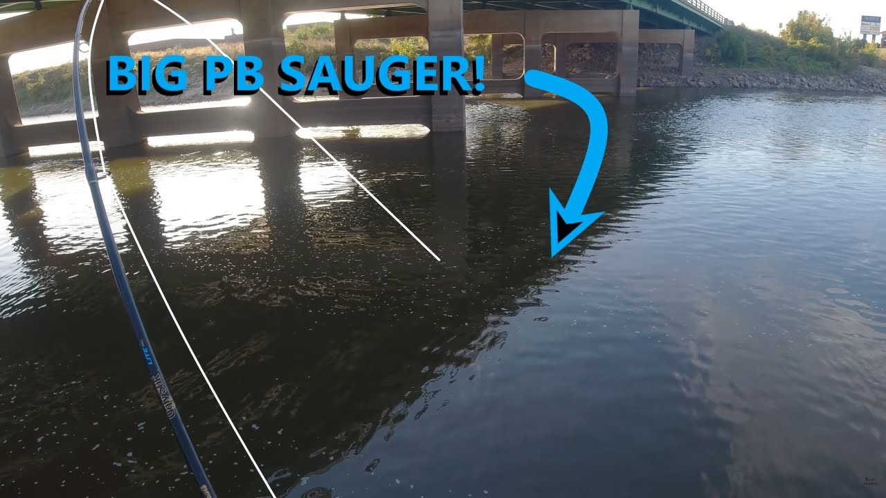 I Went Bass Fishing and Caught the Biggest Sauger I've EVER Seen!