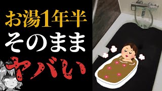 伊豆のマコモ湯サイダー「1年熟成」 Makomo Bath] Thanks to the power of fermentation, we haven't