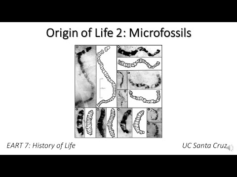 Video: Kad tika atrastas mikrofosilijas?