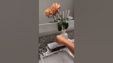 The instant dry sink caddy is here to save the day and my countertop.