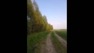Русская природа под сербскую музыку.