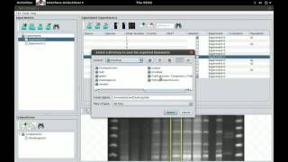 Exporting GelJ experiments to software for genetic population analysis