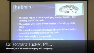 Dementia Presentation and Pre-Med AMSA UCF General Meeting