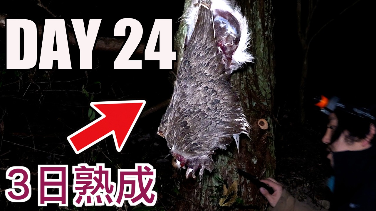 常温で巨大シカ肉を3日熟成したら過去一ヤバすぎた。。。