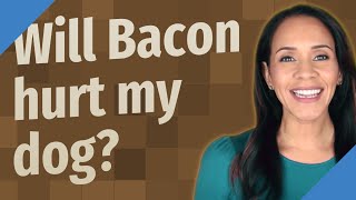 Will Bacon Hurt My Dog?